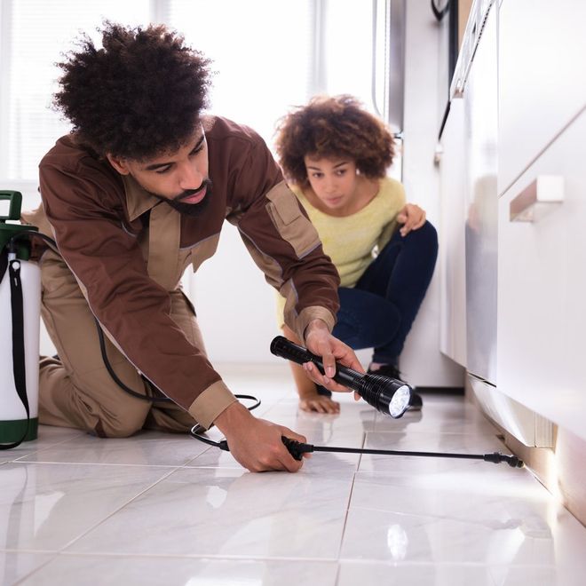 Man Spraying Under Countertop — Bryan, TX — Binford Insect Control Inc. A home getting pest control services in College Station, TX