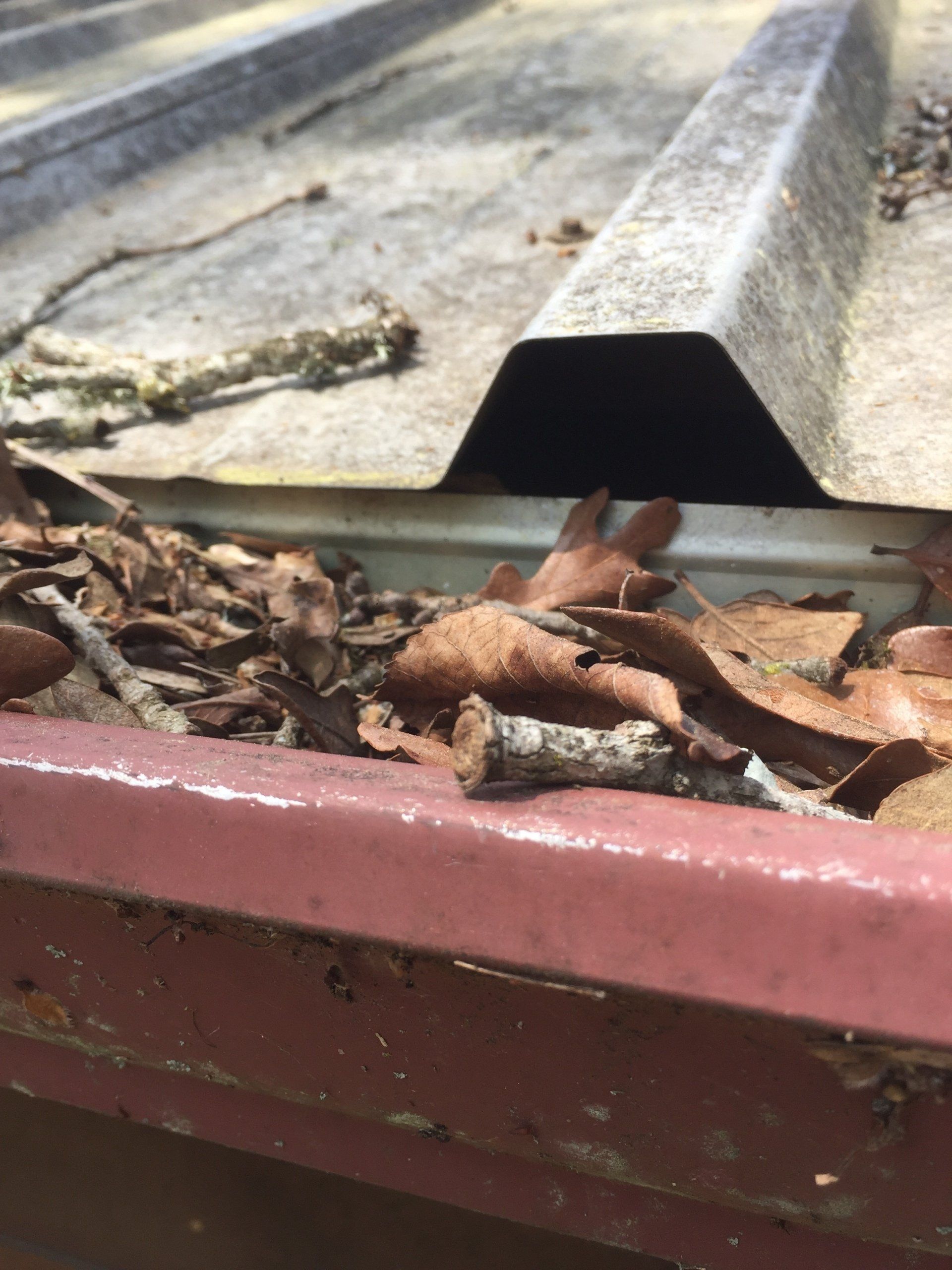 Close-up of a metal roof with a gutter full of dry leaves and twigs. Red gutter with rust.