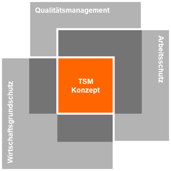 Diagramm mit grauen Feldern „Qualitätsmanagement“, „Arbeitsschutz“, „Wirtschaftsgrundschutz“ und zentralem orangefarbenem „TSM Konzept“