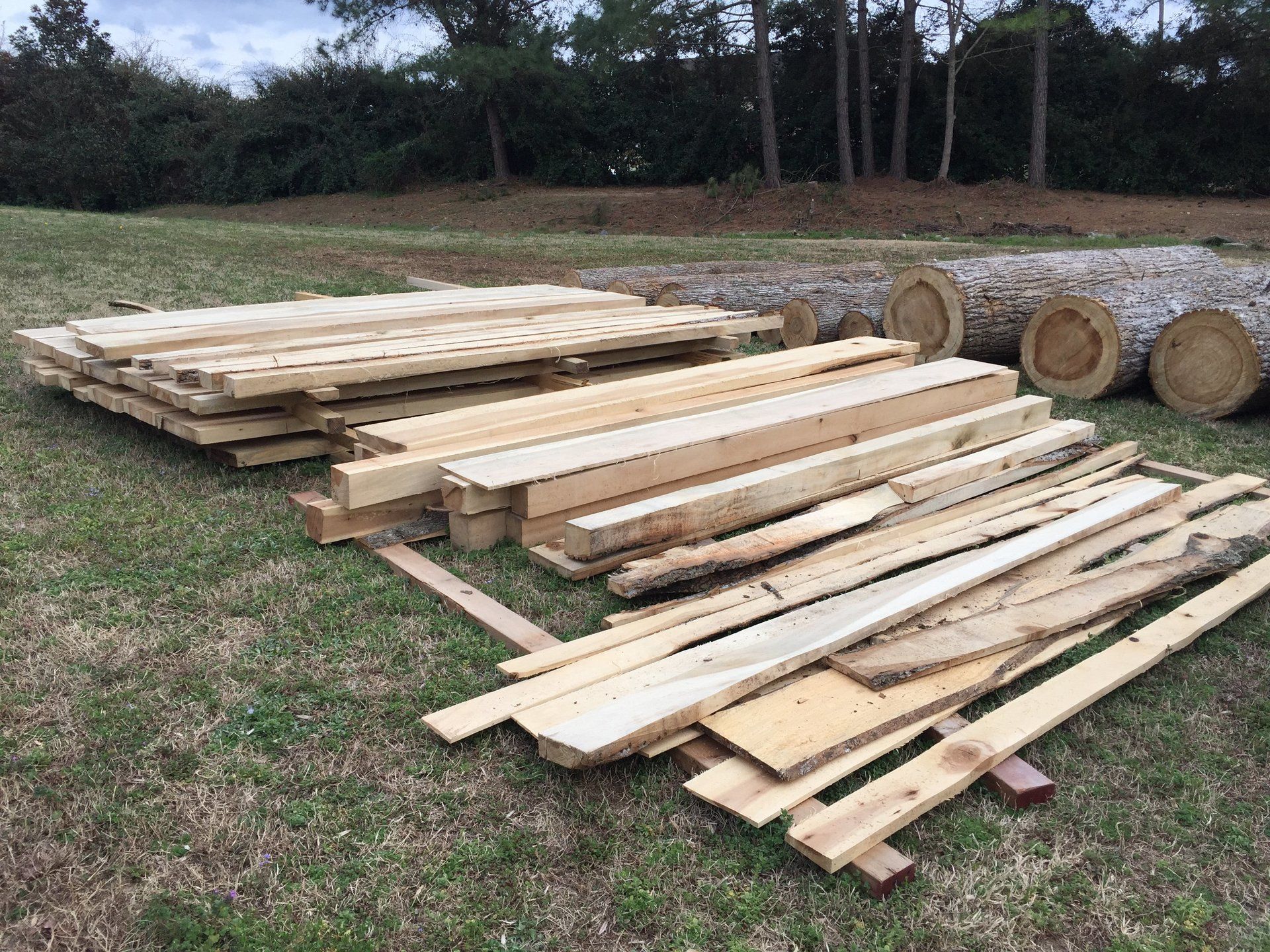 Finished wood and pile of large logs
