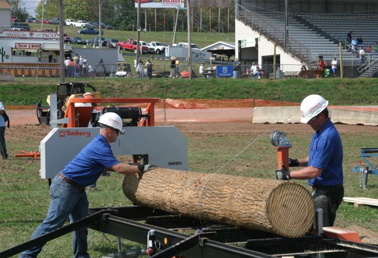 Timbery M285 portable sawmill with log