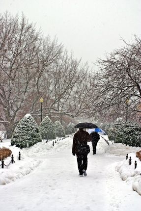 Stock image of a snowing winter at Boston, Massachusetts, USA