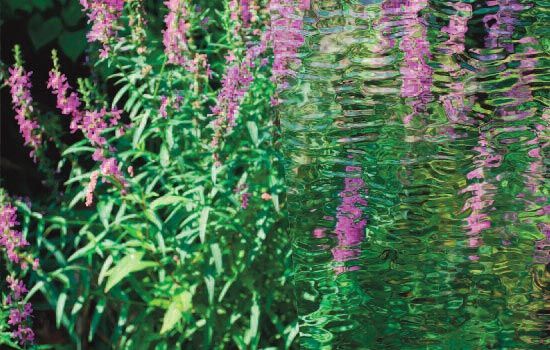 Seamless ice frozen water texture, abstract winter background : Stock Photo View similar imagesMore from this photographer Seamless ice frozen water texture — Textured Glass in White Plains, NY
