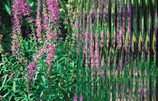Patterned glass — Textured Glass in White Plains, NY