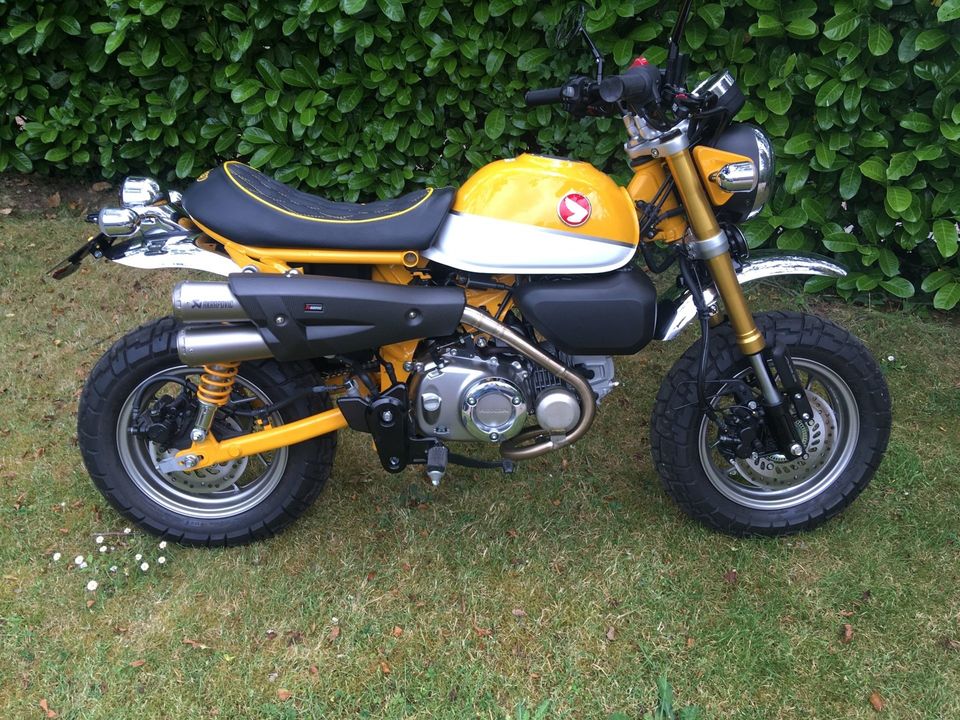 The Monkey
