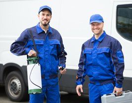 Termite Infestation — Two Pest Control Workers in New Castle, Indiana Termite Infestation — Two Pest Control Workers in New Castle, Indiana