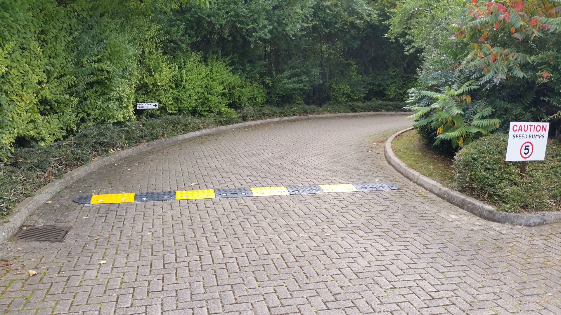 Driveway