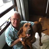Lauren Loves Dogs Glass Repair by Fast Glass of Long Beach Lauren Loves Dogs Glass Repair by Fast Glass of Long Beach