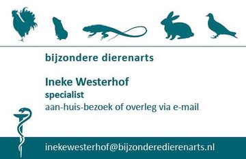Klik om een e-mail naar Ineke te sturen email reptielenarts: Ineke Westerhof