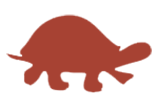 pictogram schildpad