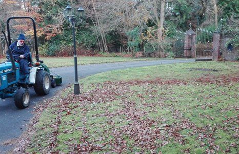 Mounted Leaf Blowers
