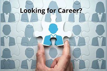 Looking for Career?
