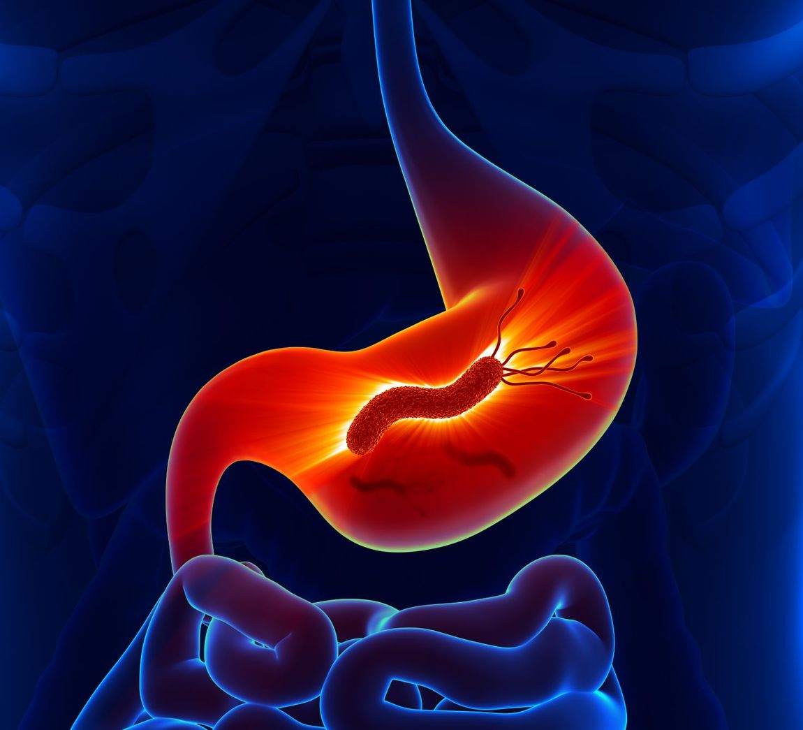 figura dell'Helicobacter pylori