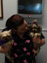 Woman with hairy dogs - Animal Health Center in Mirada, CA Woman with hairy dogs - Animal Health Center in Mirada, CA