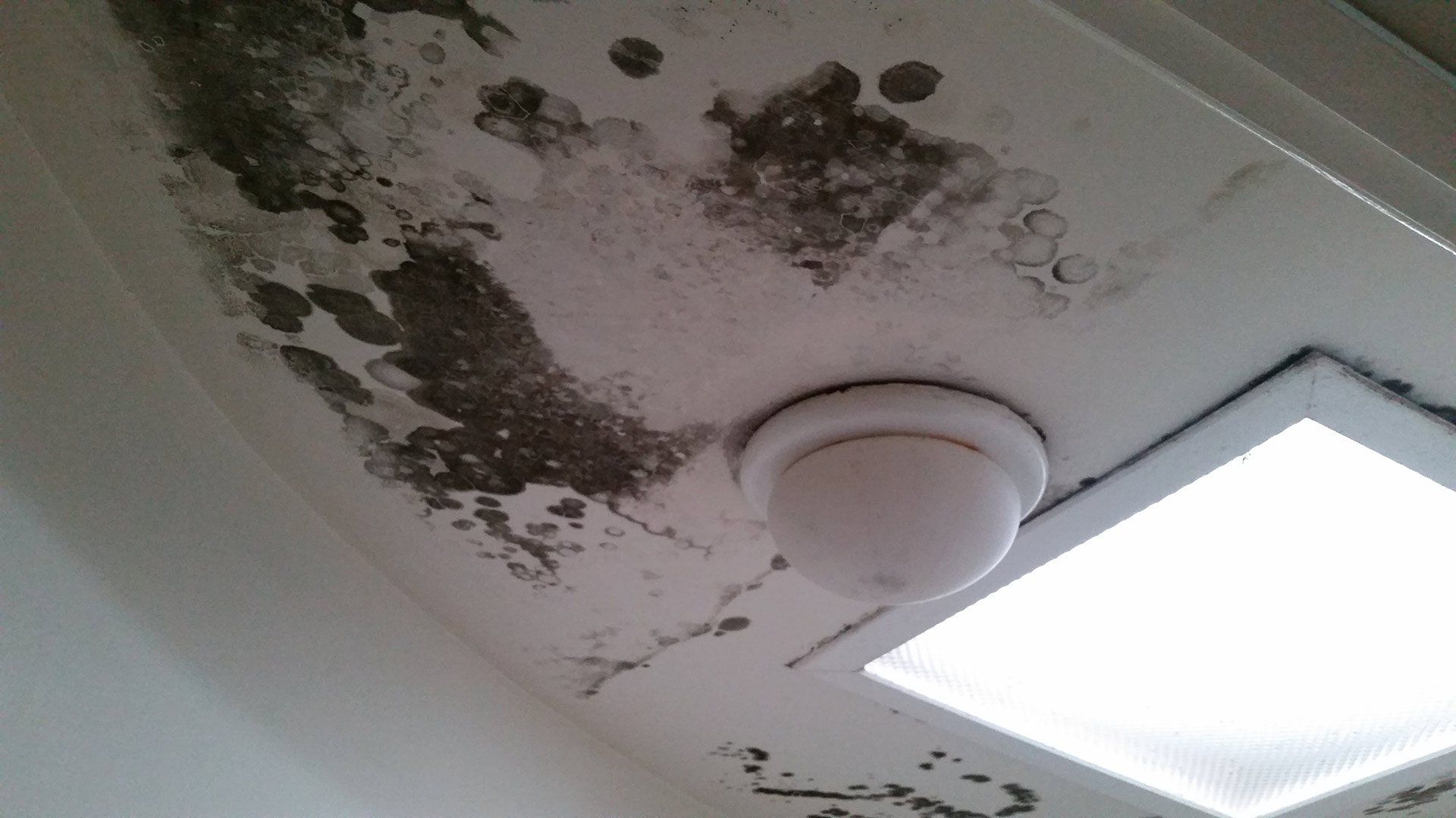 ceiling before