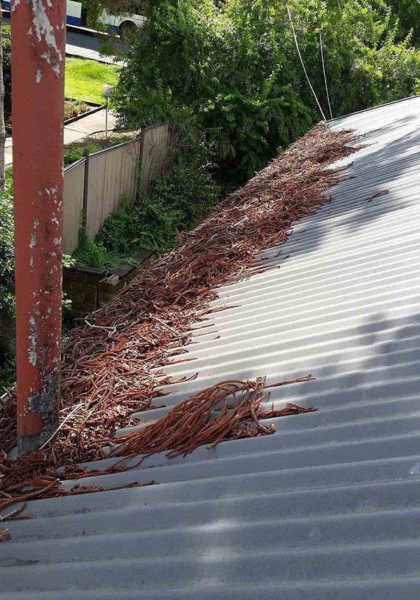 roof before