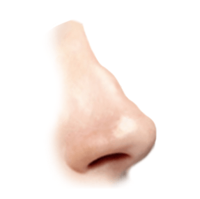 bumpy nose graphic