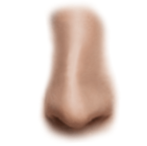 crooked nose