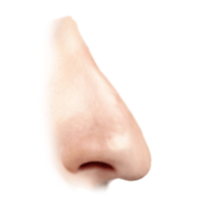 droopy nose graphic
