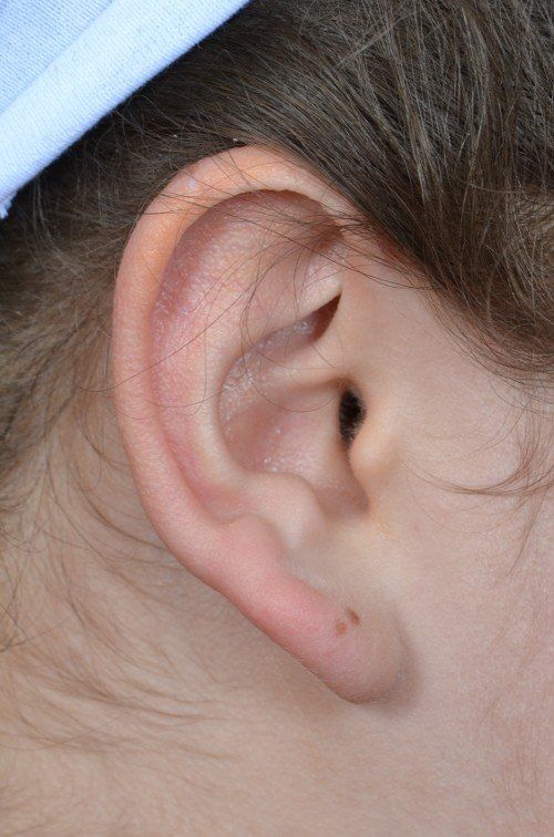 close up of ear