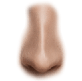 crooked nose