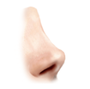upturned nose graphic