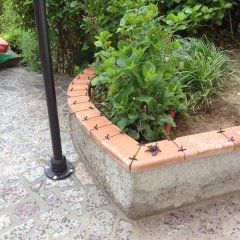Posa di cimasa in cotto