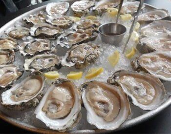 Oysterfest Oysterfest