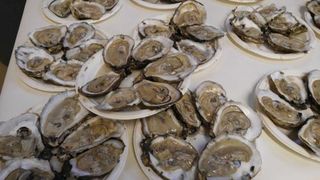 Catering - Raw Maryland Chesapeake Oysters-min Catering - Raw Maryland Chesapeake Oysters-min
