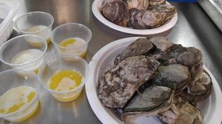 Catering -Steamed Maryland Chesapeake Oysters-min Catering -Steamed Maryland Chesapeake Oysters-min