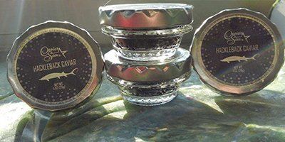 Fresh — Hackleback Caviar in York, PA