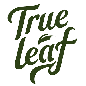 true leaf
