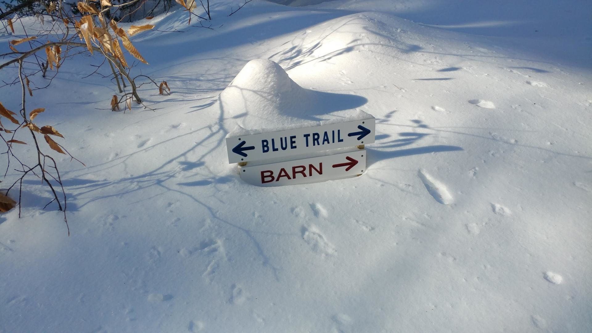 A sign in the snow points to the blue trail and barn