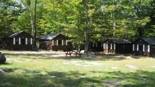 A row of wooden cabins in the middle of a forest.