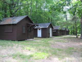 A row of wooden cabins in the middle of a forest