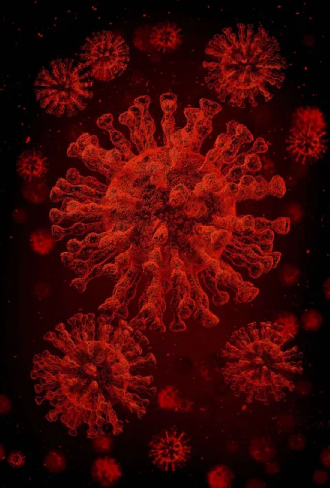 Virus al microscopio