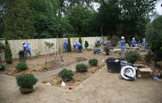 Landscapers in blue uniforms planting shrubs in a yard with a wooden fence.