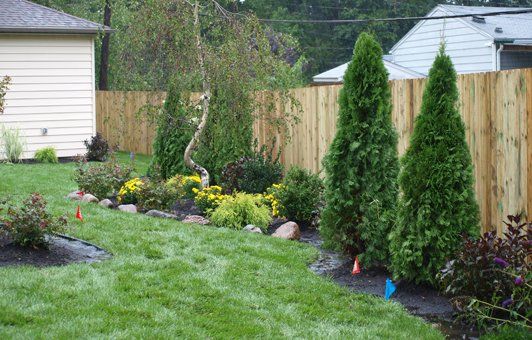 A landscaped yard with trees, bushes, and a wooden fence; green grass and dark mulch border the plants.