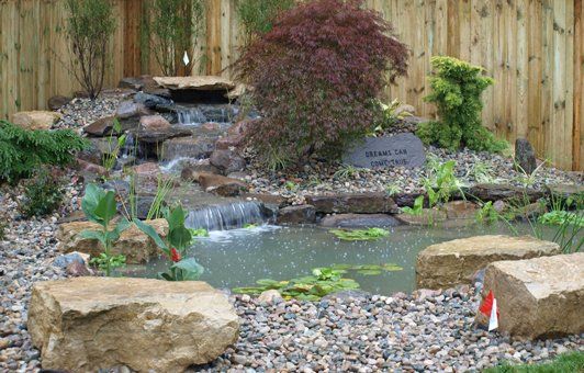 Small backyard pond with waterfall, Japanese maple, and rocks; surrounded by a wooden fence.