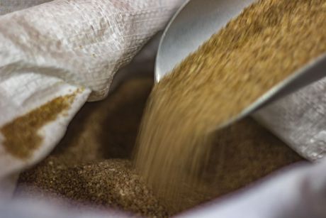 bulk grains and spices vista ca