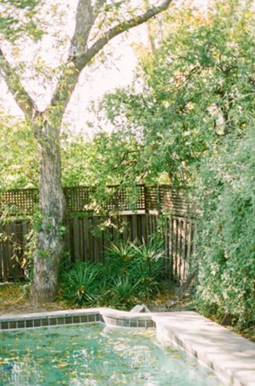 a swimming pool surrounded by trees and bushes in a backyard