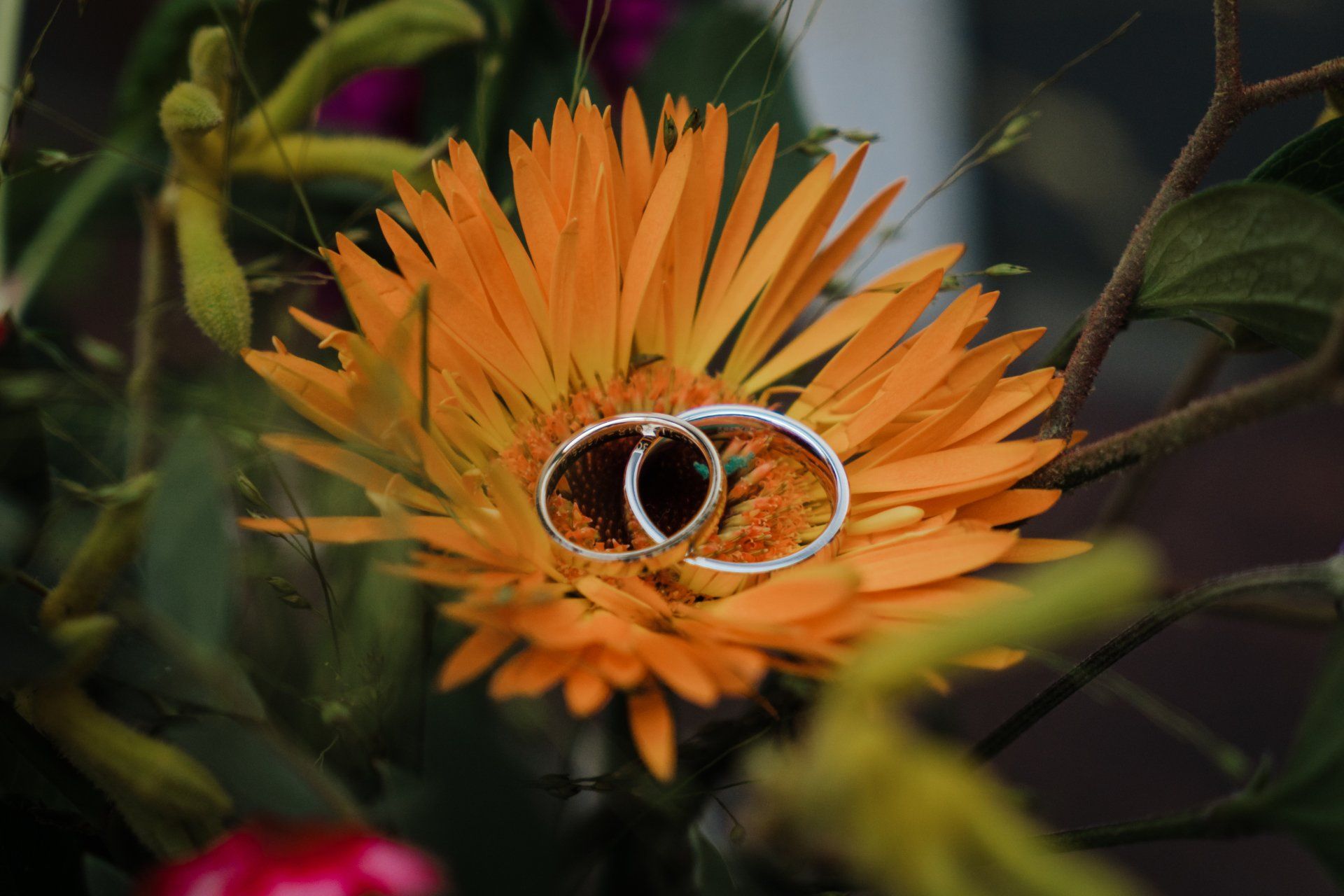 Twee trouwringen liggen bovenop een oranje bloem.