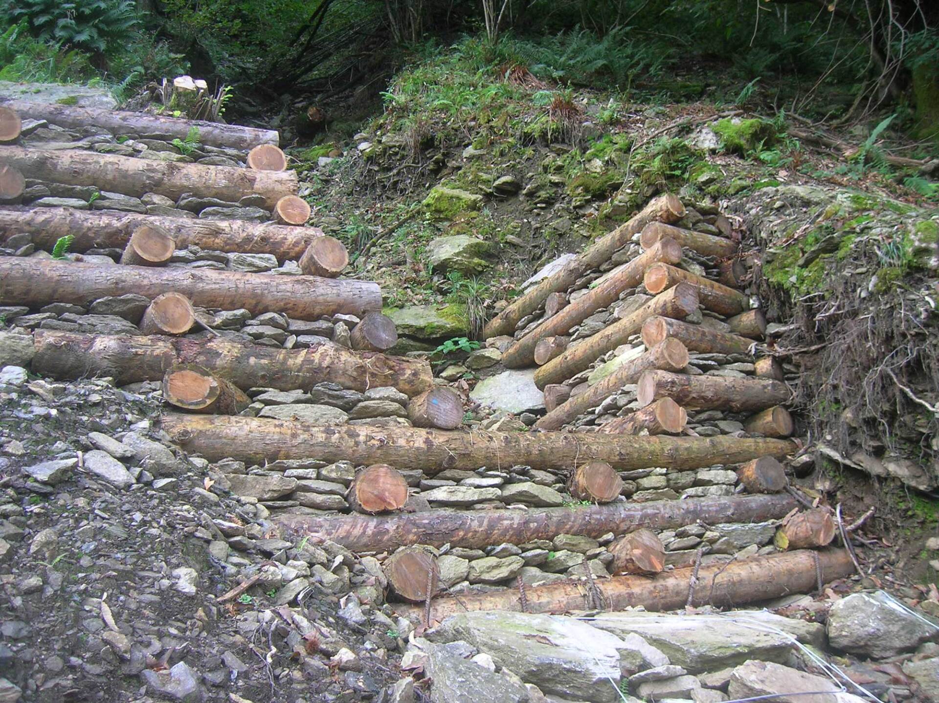 bonifiche