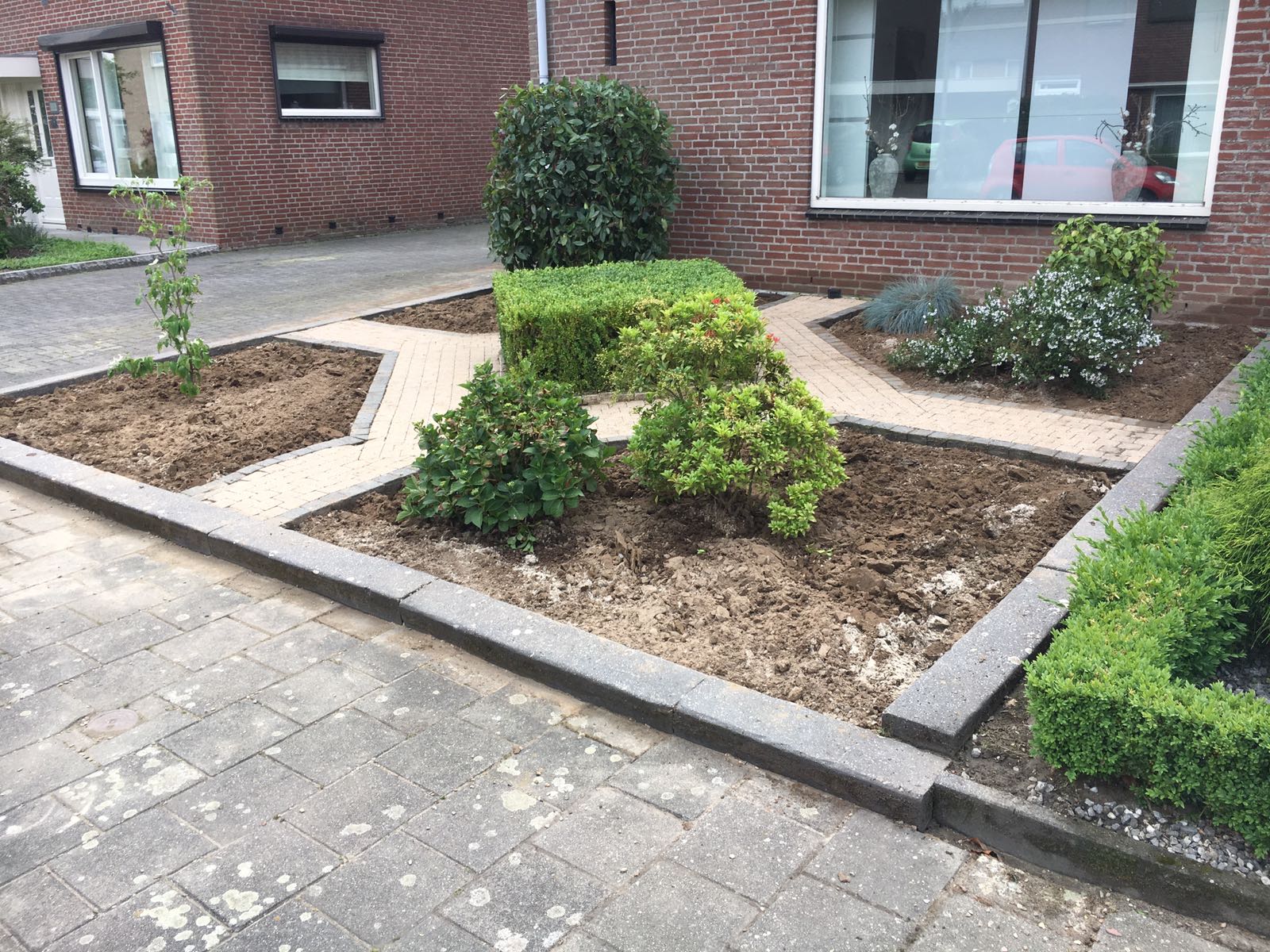 Een voortuin met diverse groene struiken en een stenen pad.