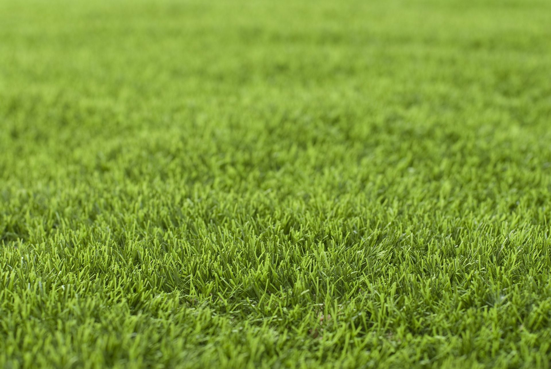 Groen, gelijkmatig gemaaid kunstgras gazon met de grassprieten scherp in beeld.