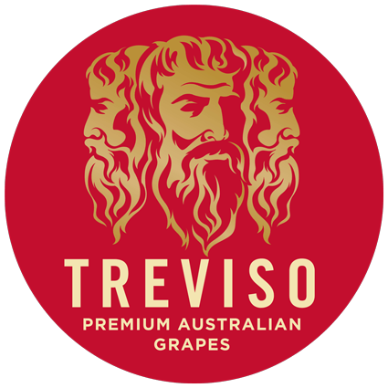 treviso logo