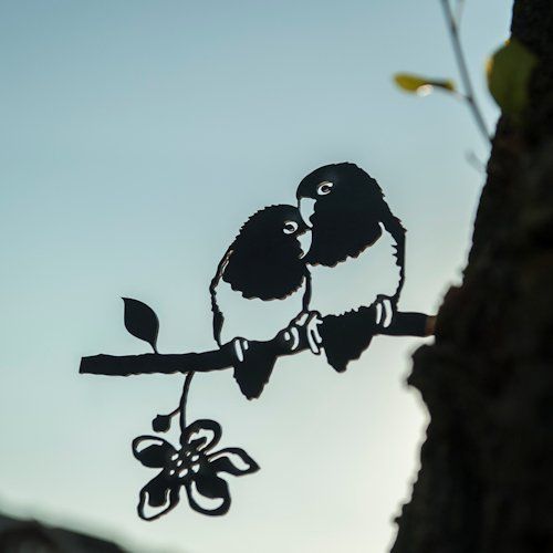 Een silhouet van twee vogels die op een boomtak zitten