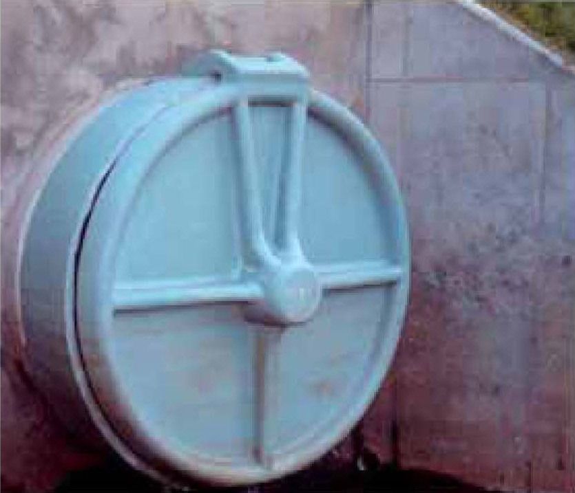 Ring Mount