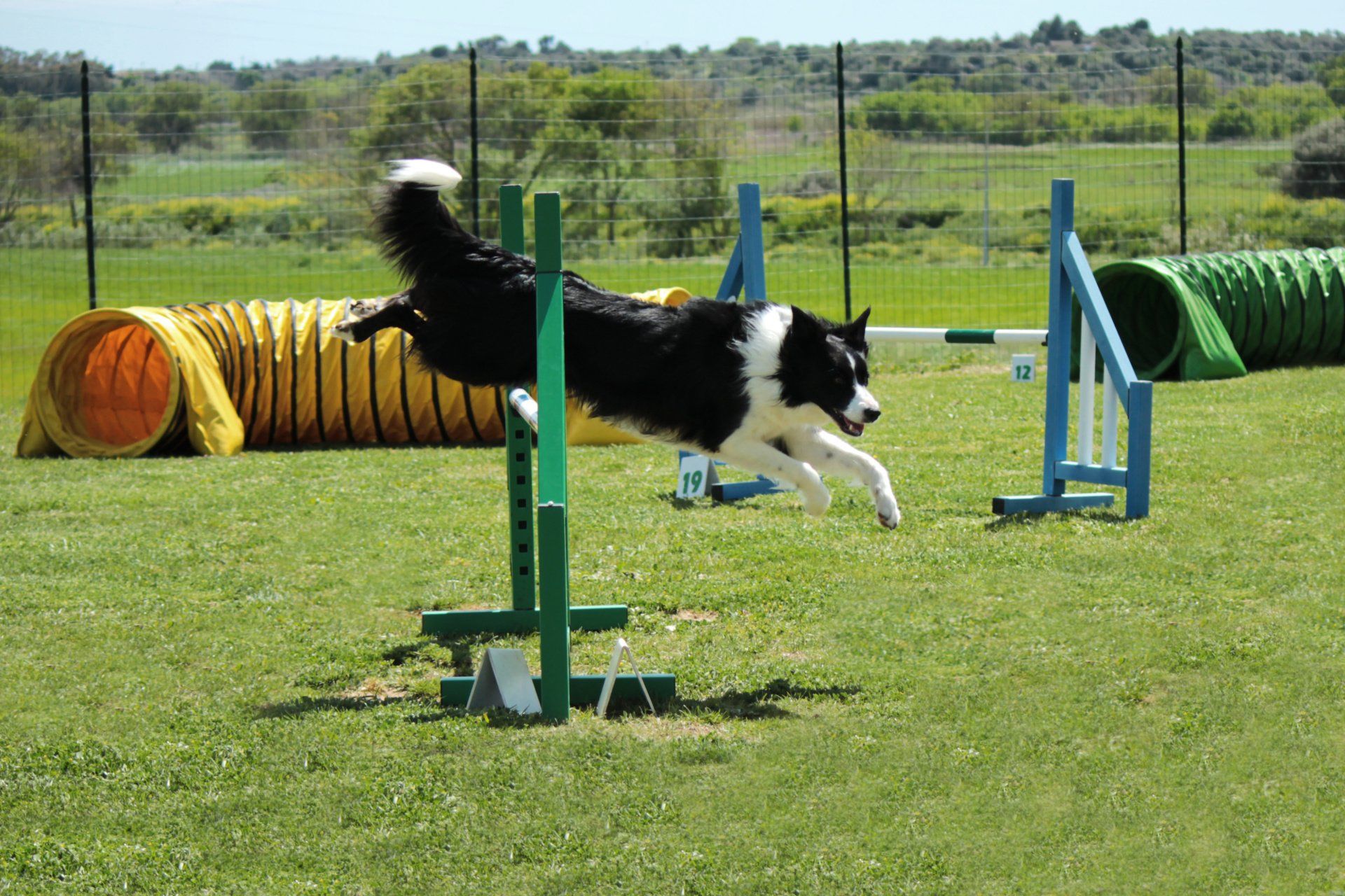 SPORT
