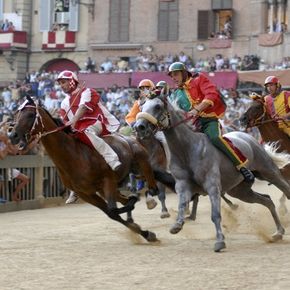 Palio di Siena